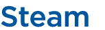 Steam