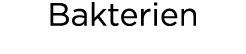 Bakterien