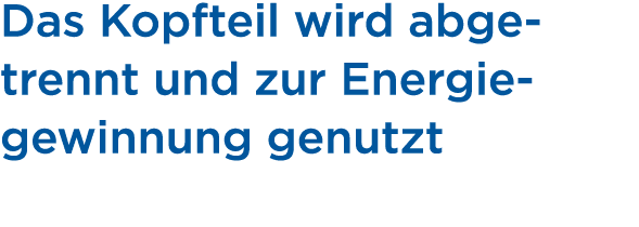 Das Kopfteil wird abgetrennt und zur Energie­gewinnung genutzt 