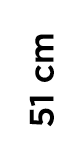 51 cm