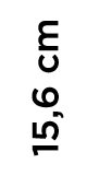 15,6 cm